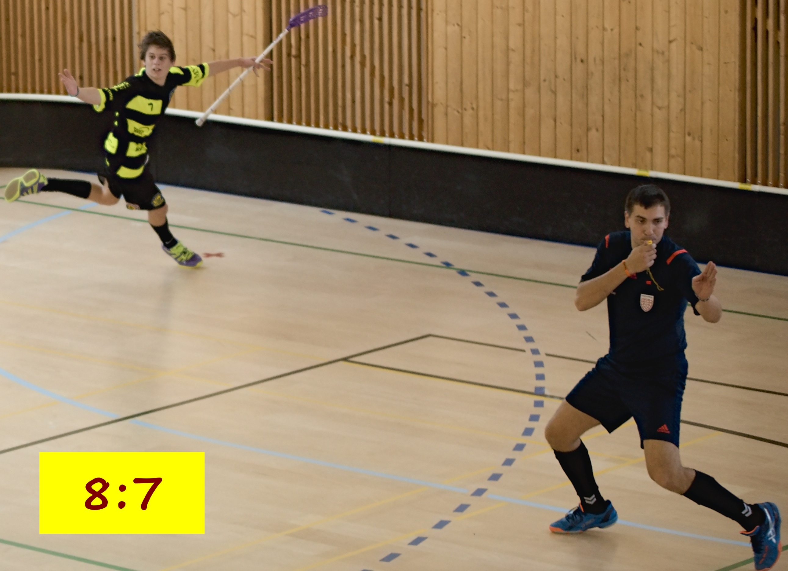 JunciLedec241015 205